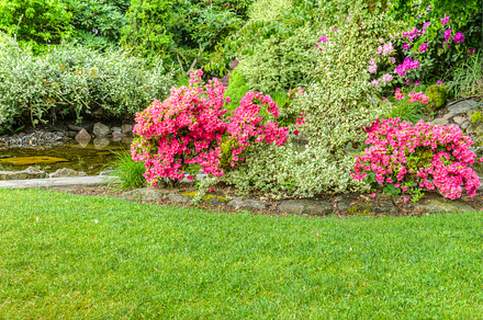 Landscaped Garden Scene With Pond preview 6