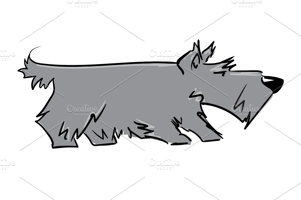 scottish terrier, an Animal Illustration by aliona..almazova
