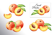 Honey Peaches. Original Watercolor, a Food Illustration by Daria Ustiugova (Thumbnail 6 of 21)