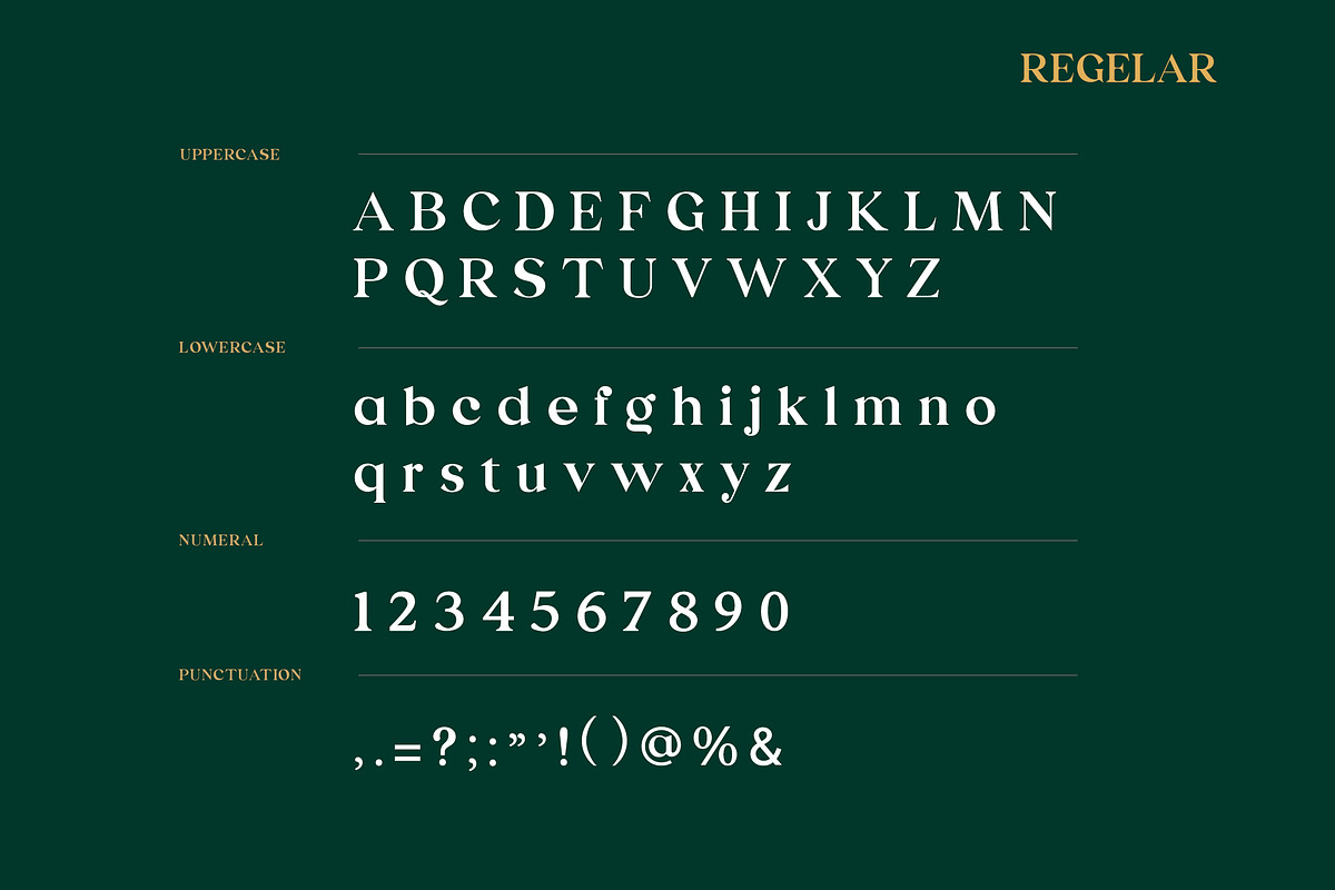 Emerland Serif Font, a Serif Font by UICreative (Photo 4 of 6)