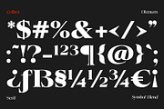 Colitez - Editorial Serif, a Serif Font by Oktnum Type Foundry (Thumbnail 12 of 15)