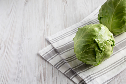 Raw Organic Cabbage on a white wooden background, side view. Cop, a Food & Drink Photo by LiudmylaChuhunova