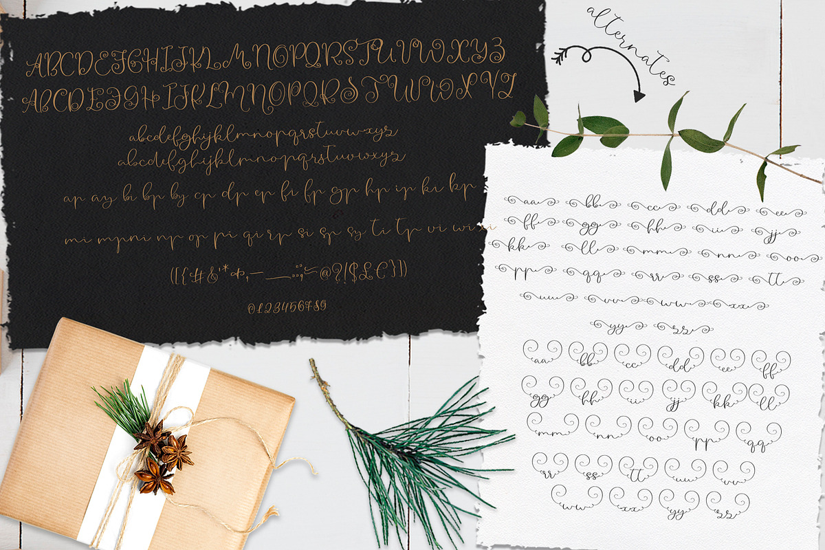 The Big Christmas Collection, a Script Font by CallMeStasia (Photo 14 of 15)