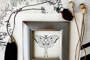 NIGHT MAGIC butterflies women flora, an Animal Illustration by ArtOLB (Thumbnail 13 of 14)