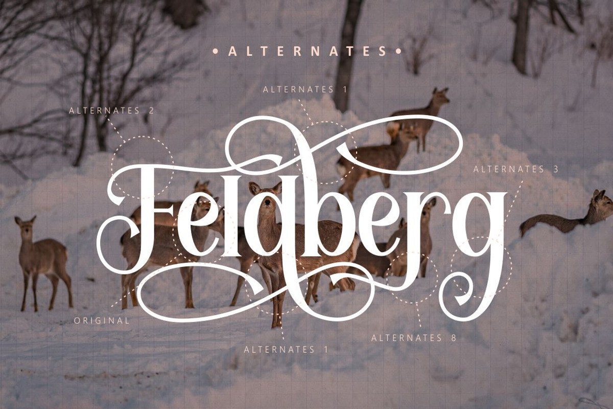 Feldberg - Elegant Luxury Serif Font, a Serif Font by PutraCetol Studio (Photo 11 of 11)