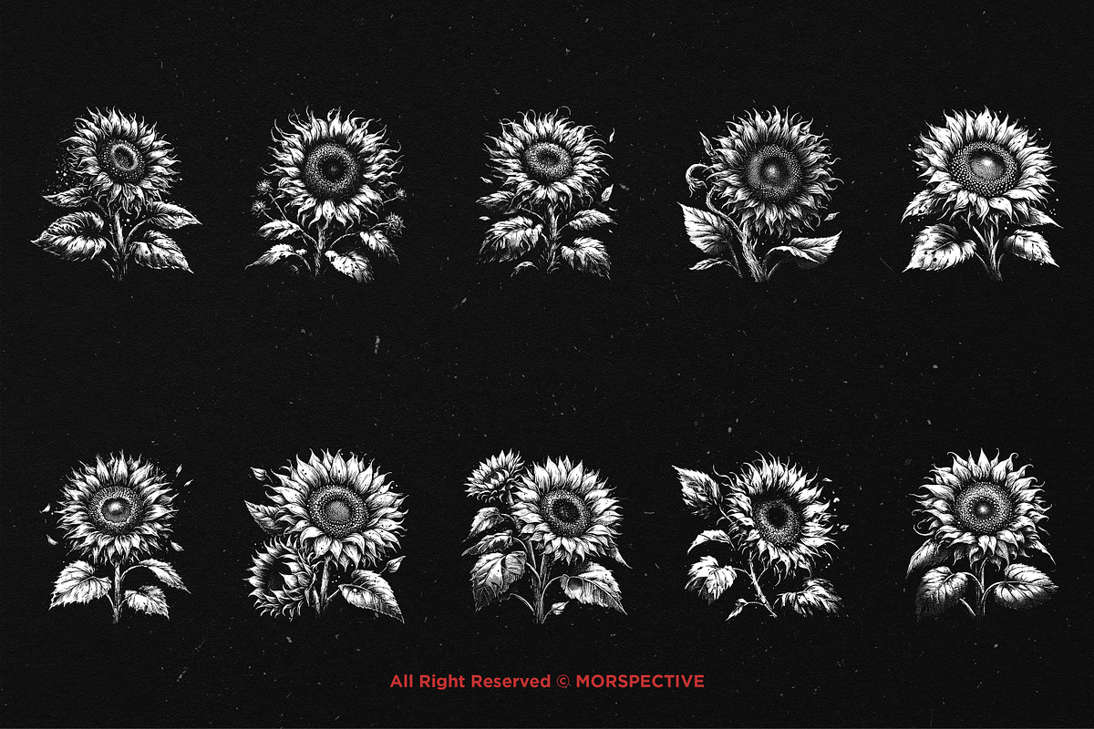 10 Bundle Dark Art Sun Flower, an Illustration by Morspective (Photo 6 of 7)