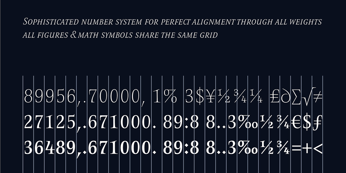 Romis, a Serif Font by Finaltype (Photo 6 of 22)