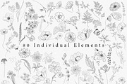 Procreate Wildflower Floral Line Art, a Brush Add-On by AW Studios (Thumbnail 2 of 4)