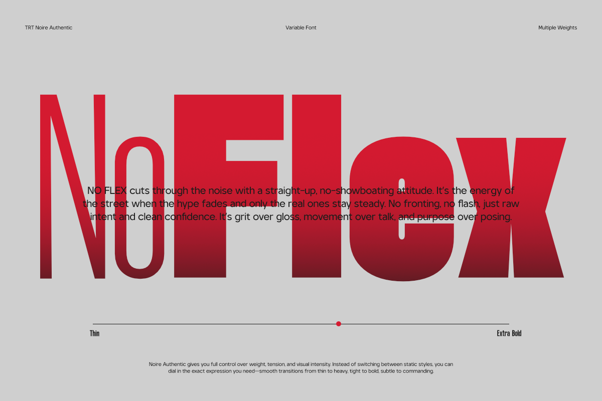 TRT NOIRE Authentic Condensed, a Sans Serif Font by truetype (Photo 8 of 15)