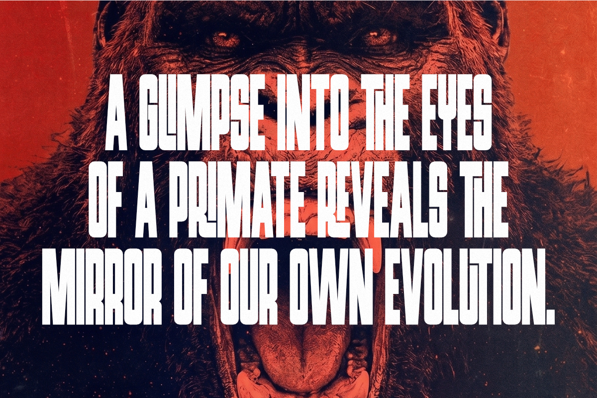 Primate - Condensed Sans Serif Font, a Sans Serif Font by Pian45 Studio (Photo 5 of 8)