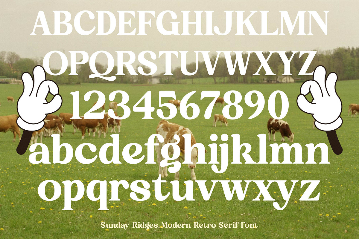 Sunday Ridges Retro Serif Font, a Serif Font by timelesstype.co (Photo 18 of 20)