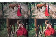 2000+ Lightroom Presets BUNDLE SALE, an Action Add-On by Hydrozi Presets (Thumbnail 37 of 59)