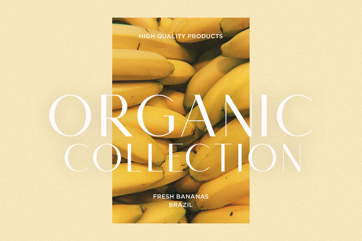Monica - Classic & Elegant Sans, a Sans Serif Font by Mikhail Fukurou (Photo 7 of 12)