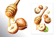 Huzelnuts. Watercolor collection, a Food Illustration by Daria Ustiugova (Thumbnail 14 of 23)