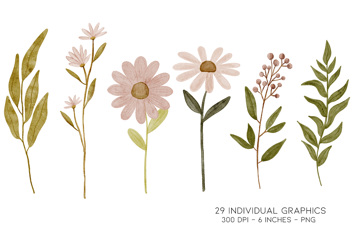 Watercolor Wild Flower Clipart, a Decorative Illustration by Murphy & Frank (Photo 5 of 9)