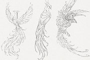 Procreate Phoenix stamps with flower, a Brush Add-On by AnnaPolitmerskaja (Thumbnail 3 of 5)