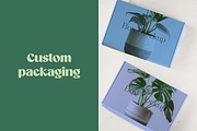 Home Plants, a Nature Photo by Typedreams.site (Thumbnail 5 of 9)