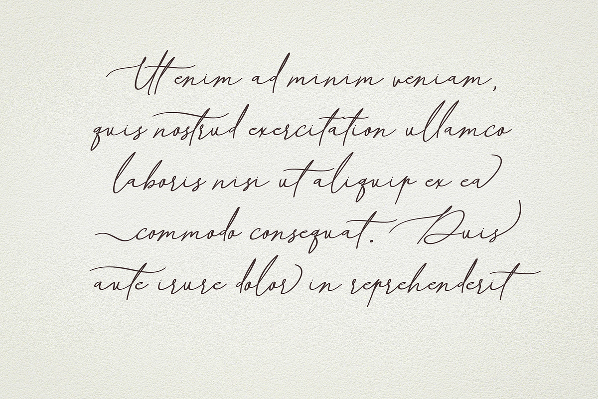 Knox Migdalia - modern calligraphy, a Script Font by Fontcastle (Photo 11 of 14)