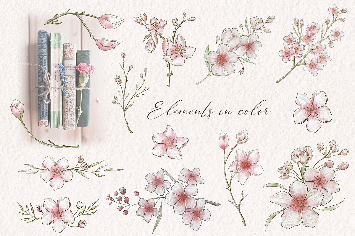 Cherry blossom cliparts and patterns, an Illustration by TatiArti (Photo 8 of 12)