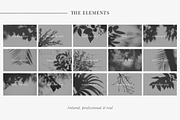 Organic Shadows Collection III, a Product Mockup by The Iconic (Thumbnail 8 of 8)
