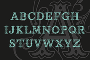 Ana, a Symbol Font by LetterPalette (Thumbnail 5 of 7)