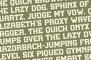 Texas Slab, a Slab Serif Font by Loudoun Design Co. (Thumbnail 4 of 6)