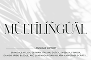 Pelagic Bird - Unique Ligature Font, a Serif Font by Yahya Type (Thumbnail 22 of 22)