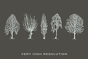 Cozza Letraset – now 9$, a Blackletter Font by Blazej Ostoja Lniski (Thumbnail 5 of 7)