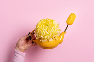 Hand holding a yellow teapot with a chrysanthemum and tulip agai, a Food & Drink Photo by Ales Munt