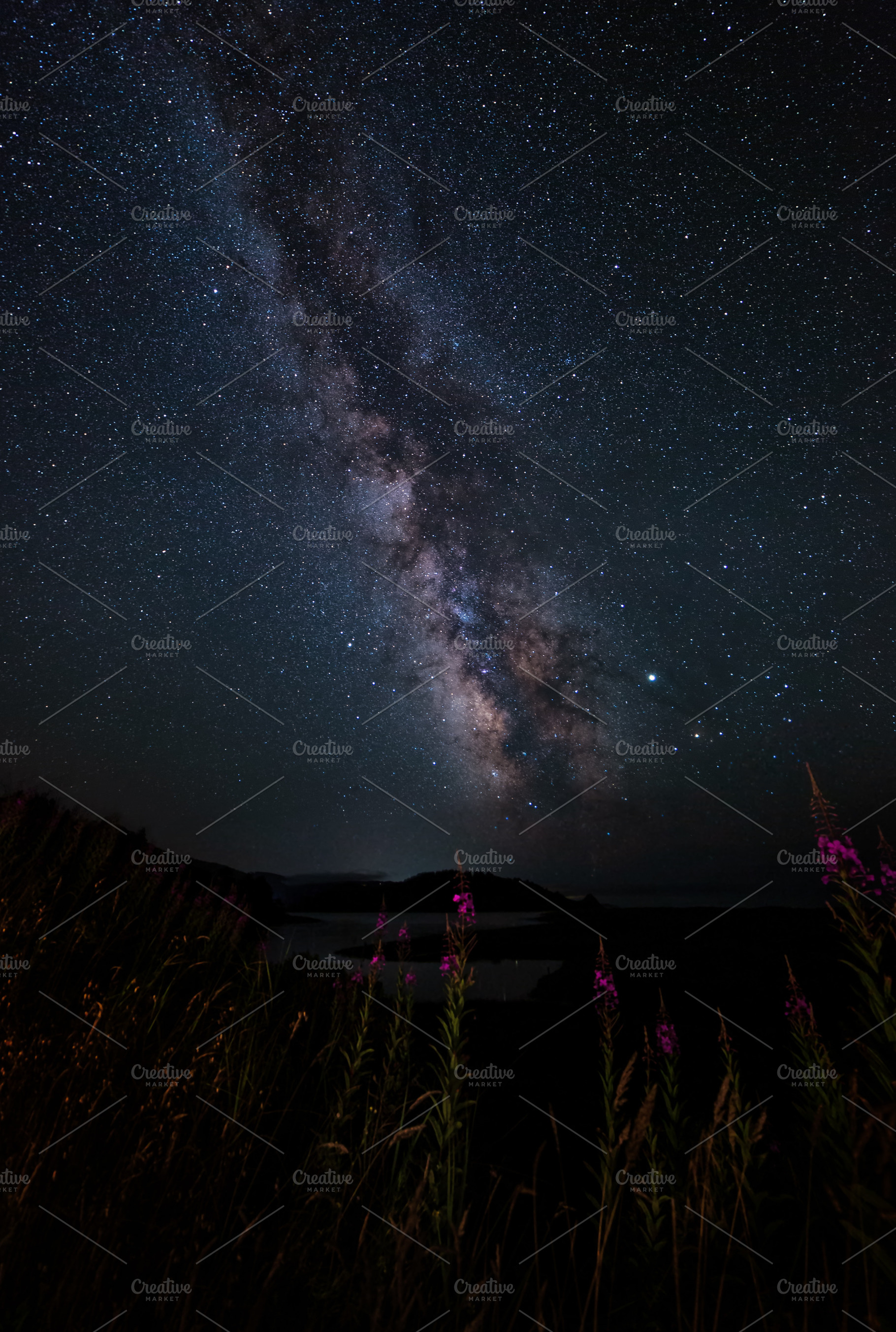 Flowers and the Milky Way, a Nature Photo by Jeff Schwartz Photography