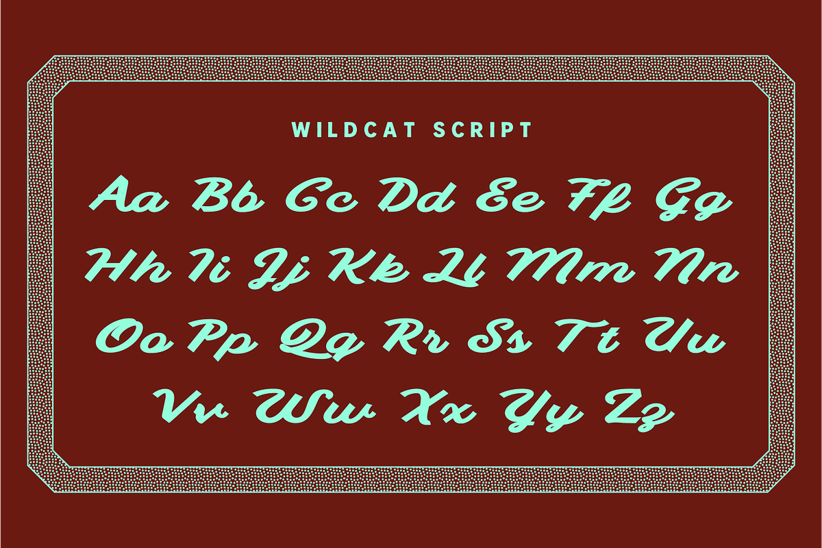 Wildcat - script typeface, a Font by Press & Pen (Photo 7 of 7)