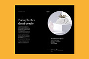 Tabloid Lookbook / Portfolio, a Brochure Template by dumitrasconiu.design (Thumbnail 4 of 5)