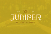 Doric - Classically Inspired Sans, a Sans Serif Font by 1871 Project (Thumbnail 8 of 10)