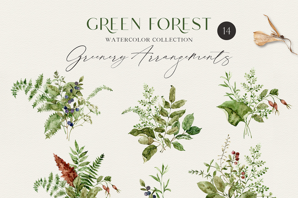 GREEN FOREST watercolor collection, an Object Illustration by long summer (Photo 4 of 17)