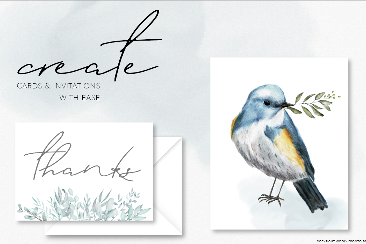 Birds & Botany: Watercolor Frames, a Texture Illustration by Wooly Pronto (Photo 5 of 6)