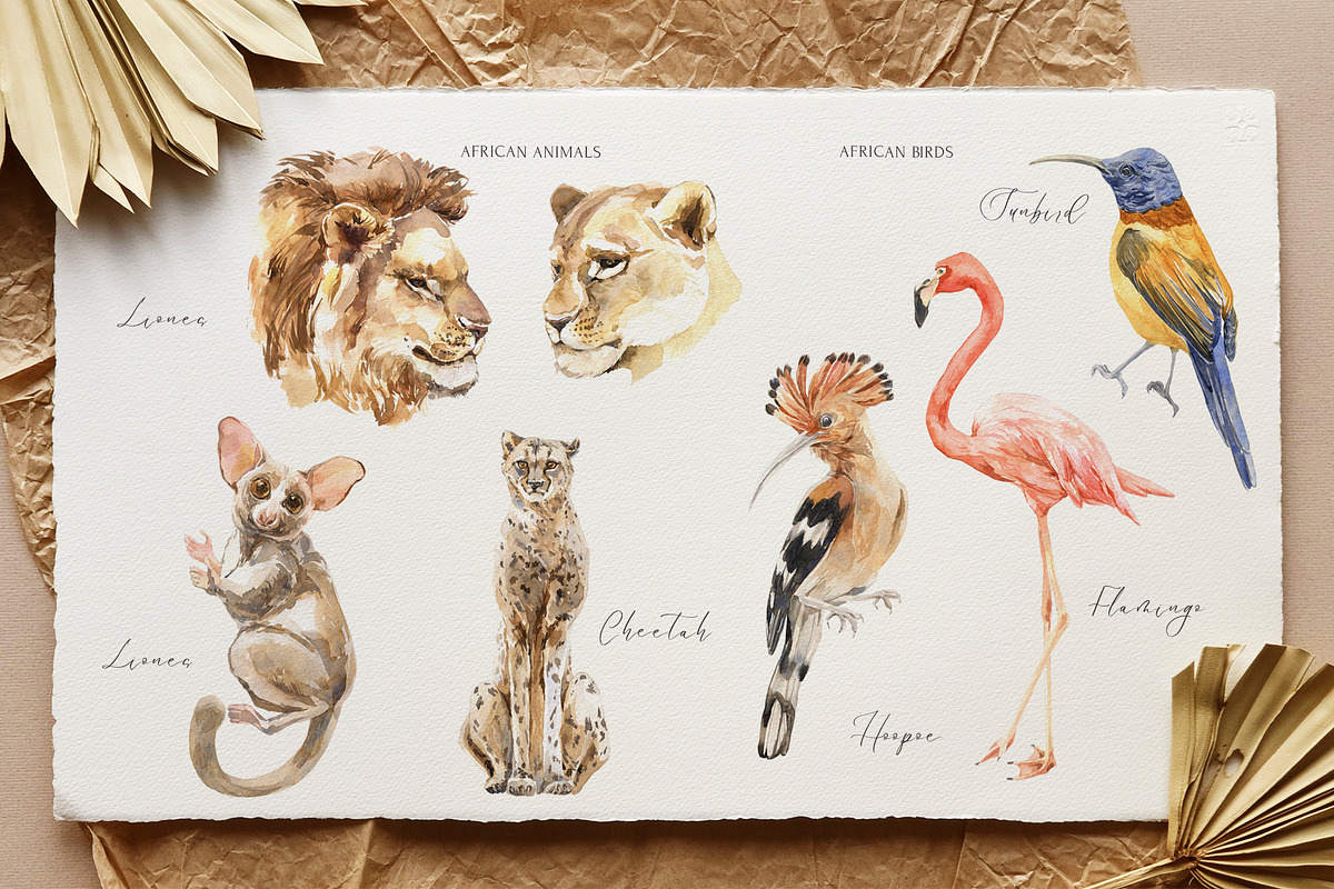 DELICATE AFRICA Watercolor, an Object Graphic by Cat In Colour (Photo 8 of 12)