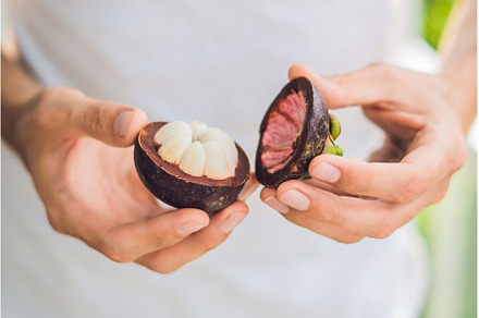 mangosteen on farmer hand hold, a Food & Drink Photo by Elizaveta Galitskaya