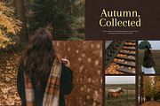 90+ Autumn Stock Photos, a Nature Photo by Trissa (Thumbnail 1 of 12)