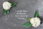 Stirling Cottage Script, a Script Font by Beck McCormick (Thumbnail 8 of 10)