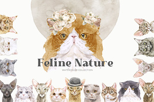 Feline Nature. Cat Portrait Creator