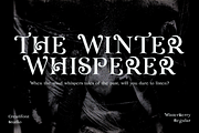 CF Winterberry - Christmas Serif, a Serif Font by Indotype Foundry (Thumbnail 6 of 10)