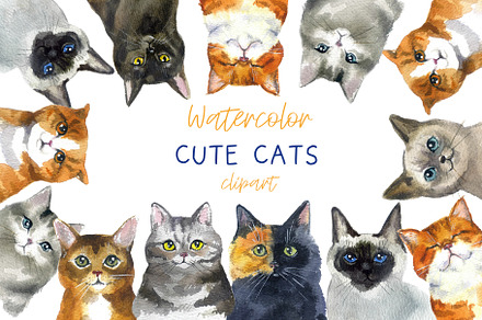 Watercolor Clipart. Cat Clipart png