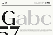 Valentra Modern Editorial Sans Font, a Sans Serif Font by Vadovastd (Thumbnail 7 of 10)