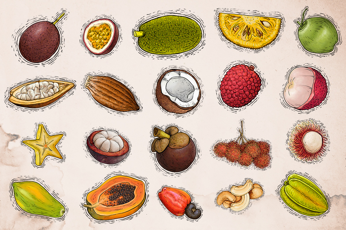 Tropical Fruit Illustration 2, an Object Graphic by RMPL.std (Photo 2 of 4)