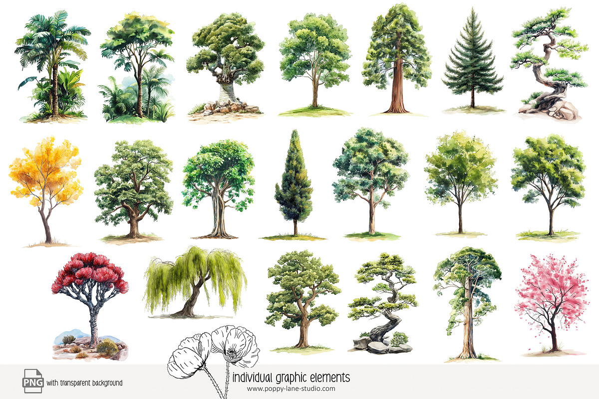100 watercolour global tree clip art, a Seasonal Illustration by Poppy Lane Studio (Photo 2 of 11)