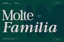 TBJ Moltefamilia Serif italic
