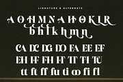 Helonea – Bold Display Font, a Serif Font by Randi Irvan | Rvandtype (Thumbnail 10 of 11)