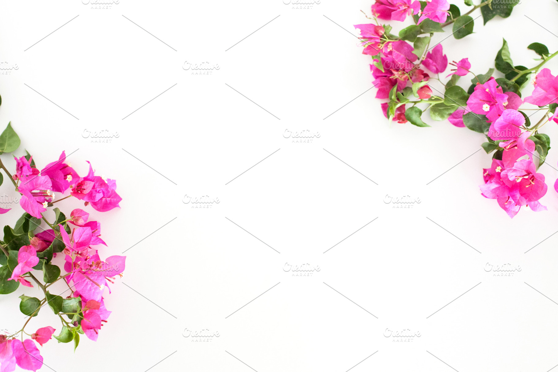 Bougainvillea stock photo 001 containing styled stock, styled stock, a Nature Photo by Rosemary Watson | Stock
