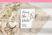 60 Whimsical Hand-Drawn Wedding PNG, a Decorative Illustration by Chantelle T Illustrations (Thumbnail 2 of 8)