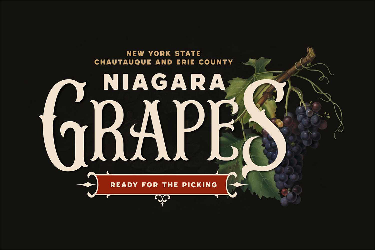Agondav - Victorian Vintage Font, a Blackletter Font by Imoodev (Photo 3 of 5)